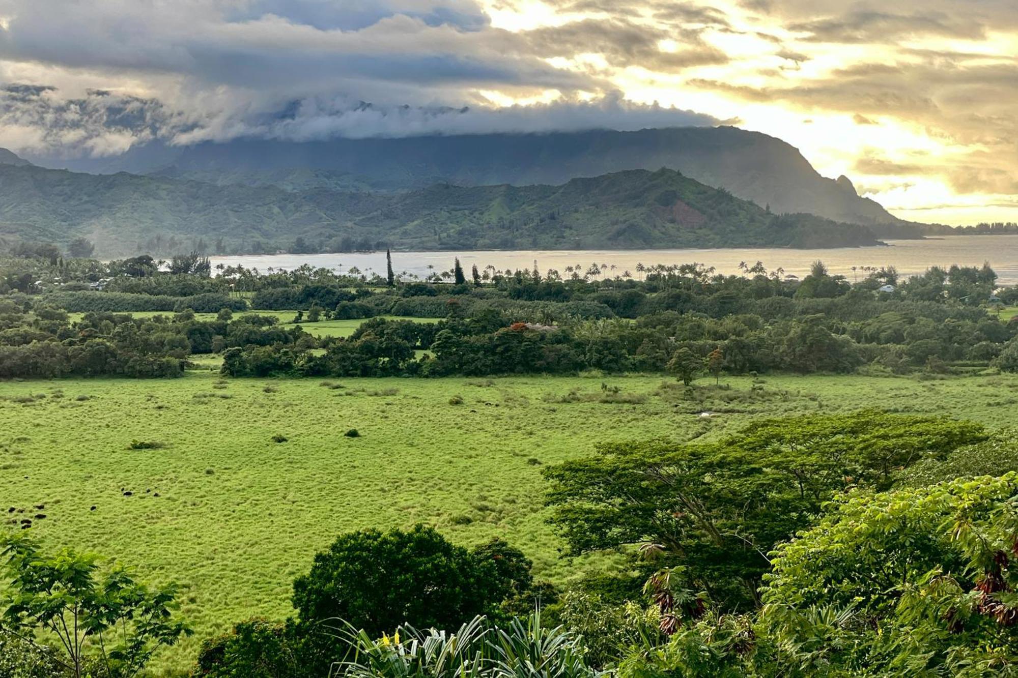 View House Tower! Villa Princeville Bagian luar foto